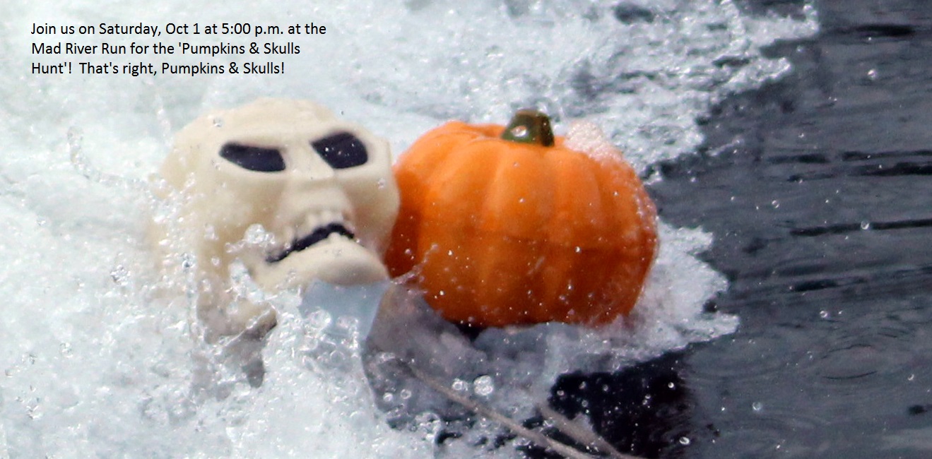 Pumpkin_and_Skulls_Hunt_2016.jpg